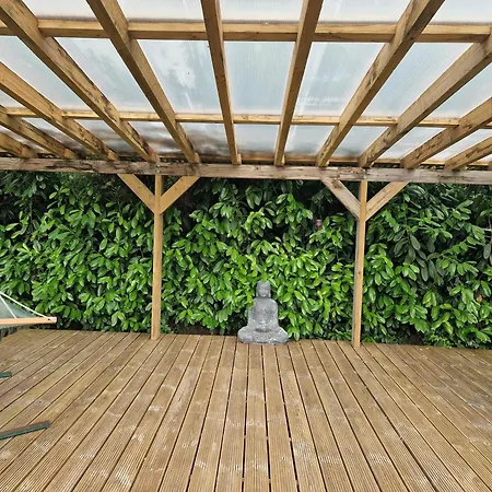 Bamboo Tranquil Oasis